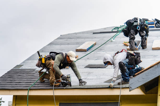 Professional Roofing technician working in Juda, WI